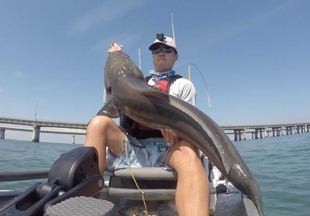 Friday's Finds is Kayak Fishing Virginia Heavy