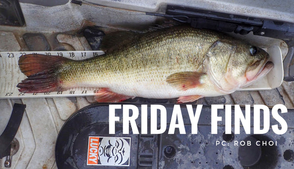 YakAttack Tourney, RMFC's Bassin', Famagogo family, Machno action, DemoDay Fun